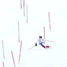 France_Alpine_Skiing_World_Cup_43583.jpg