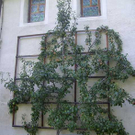 k-BILD5955.JPG