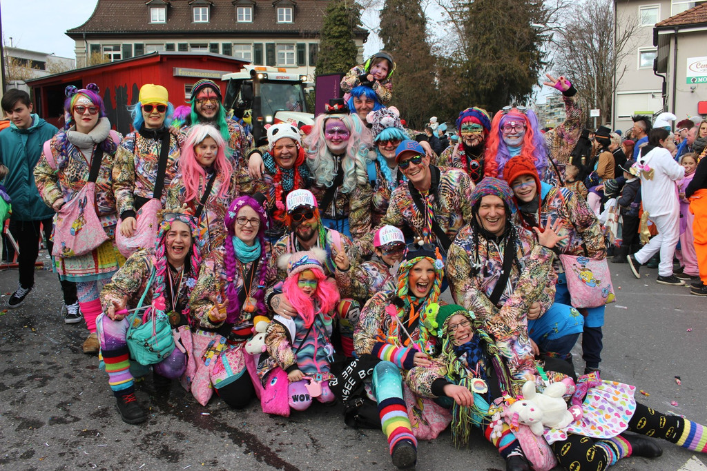 Fasching UMZUG H Teilnehmer 24-02-2019 _44_.JPG
