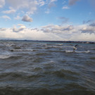 Sturm in Bregenz