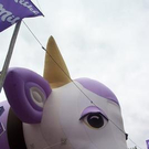 591401.jpg