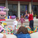 591411.jpg