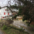 image00009.jpeg