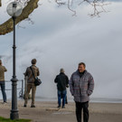 20190425-_DSC0965.JPG