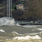20190425-_DSC1175.JPG