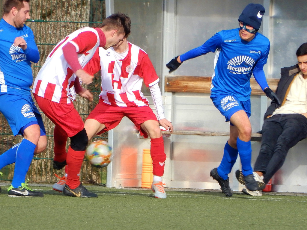 Februar 9 069.JPG