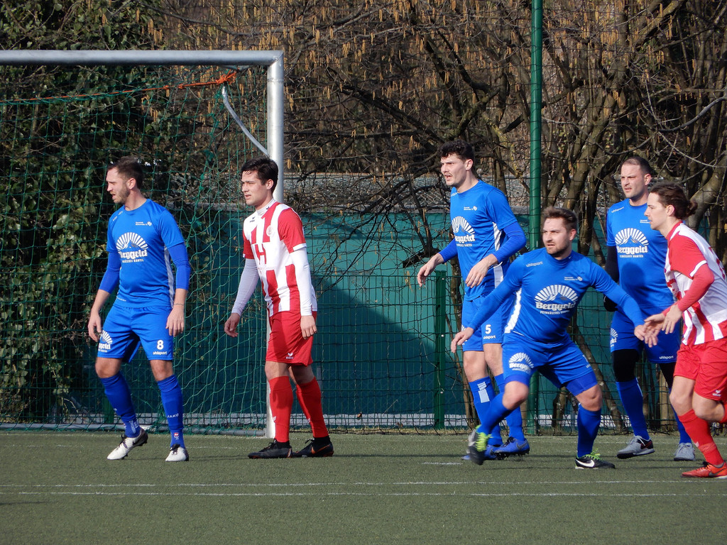 Februar 9 077.JPG