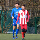 Februar 9 089.JPG