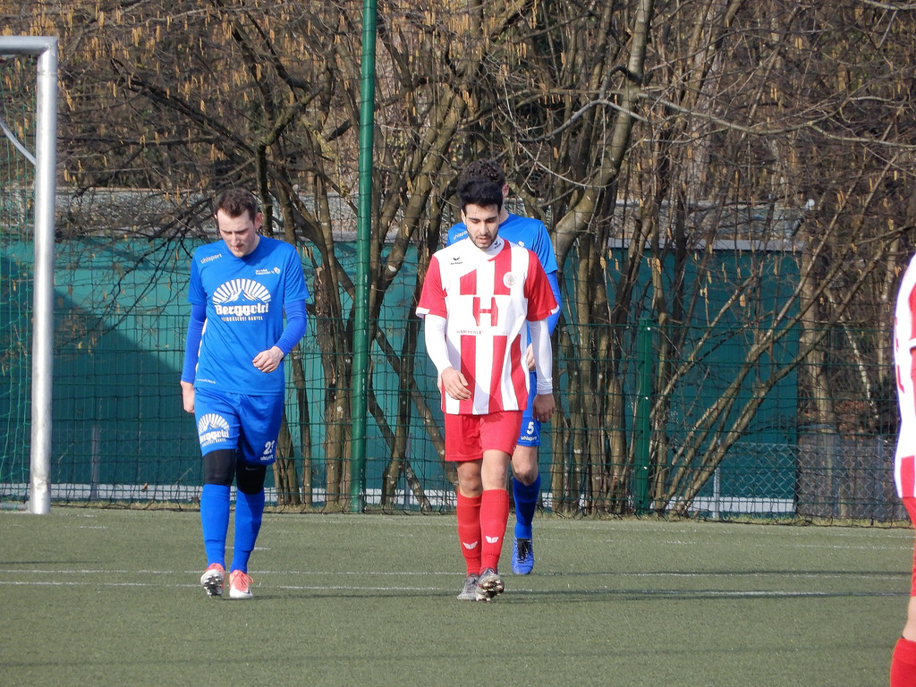 Februar 9 074.JPG