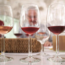 2020_02_07_Go__fner_Weinvielfalt__c__R_Sonderegger_69.JPG