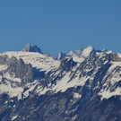 Sennewies
