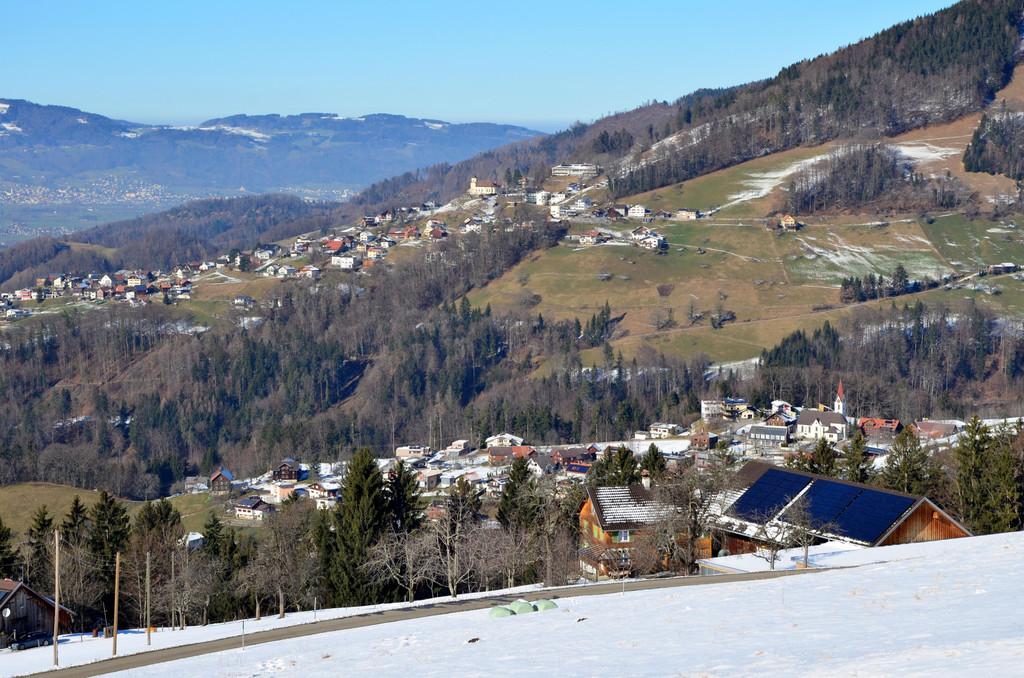 Sennewies 050220_1.JPG