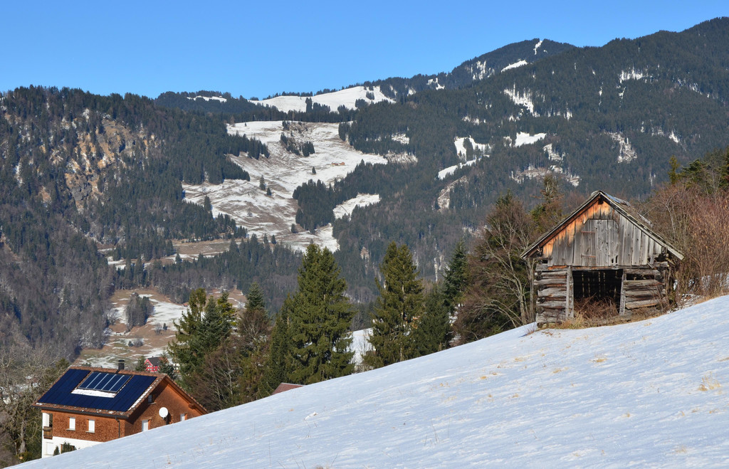 Sennewies 050220_2.JPG