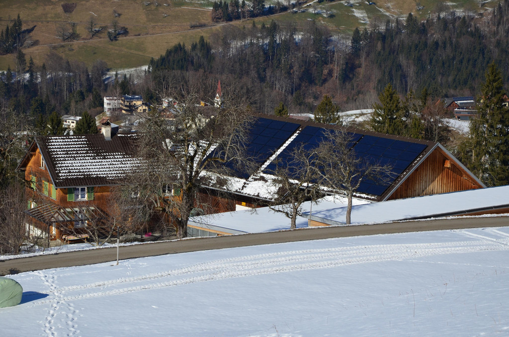 Sennewies 050220_3.JPG