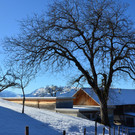 Sennewies 050220_4.JPG