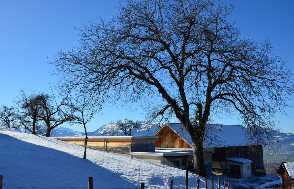 Sennewies 050220_4.JPG