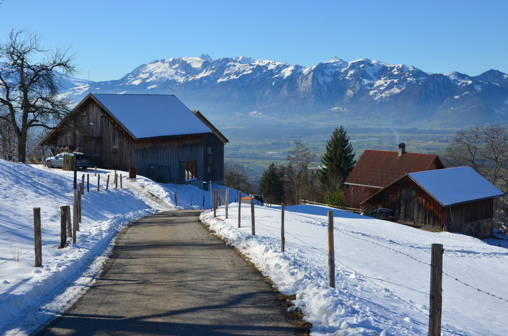 Sennewies 050220_6.JPG