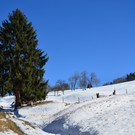 Sennewies 050220_9.JPG
