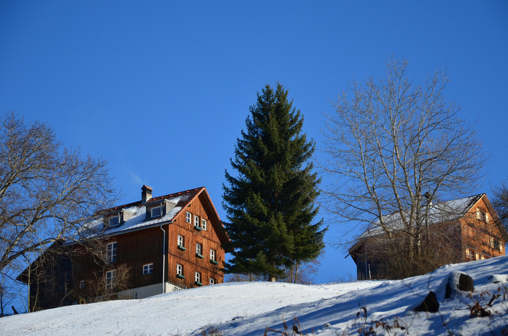 Sennewies 050220_10.JPG