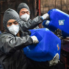 AFP_1OX68X.jpg