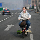 AFP_1OX5R9.jpg