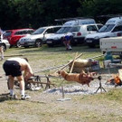 Grillfest der Fa. Koch Trockenbau