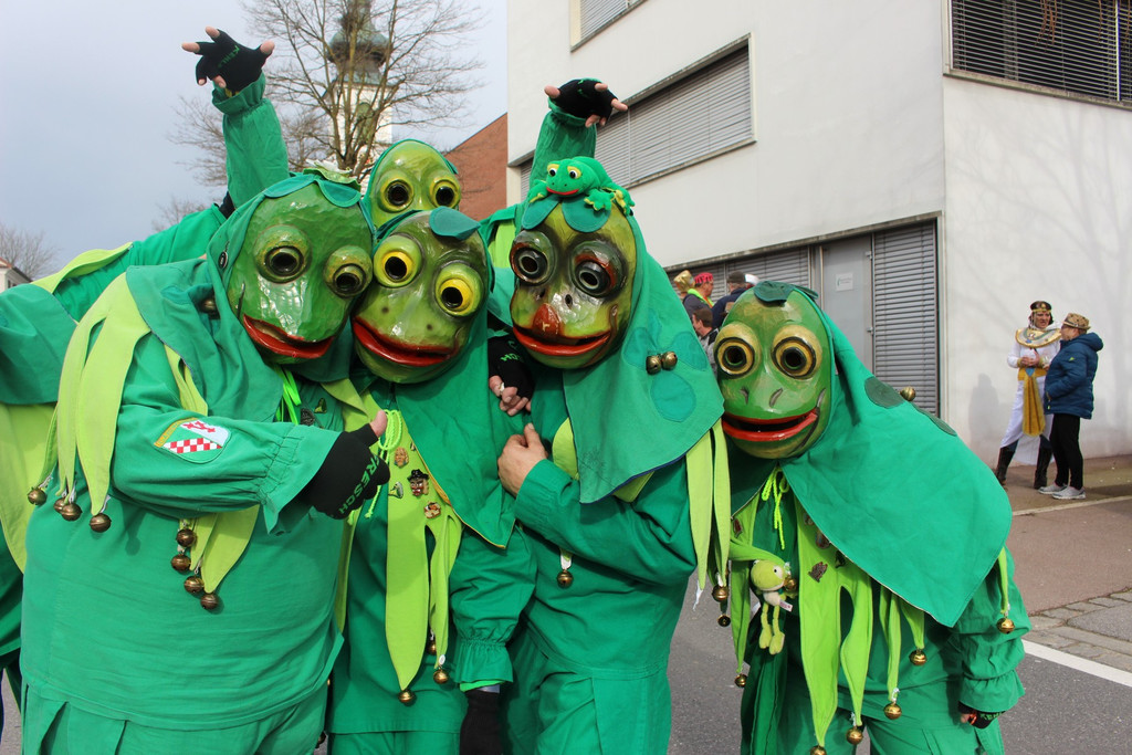 Fasching UMZUG LOCHAU 16-02-2020 _47_.JPG