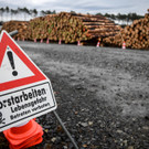 Tesla-Fabrik in Deutschland: Baustopp