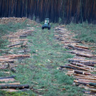 ABD0177-20200216.jpg