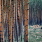 ABD0176-20200216.jpg