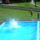 601196.jpg