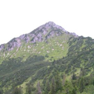 603223.jpg