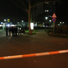 AFP_1P50DR.jpg