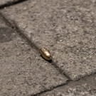 Germany_Shooting_29890.jpg