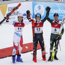 Japan_FIS_Alpine_Ski_World_Cup_60126.jpg