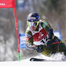 Japan_FIS_Alpine_Ski_World_Cup_14445.jpg