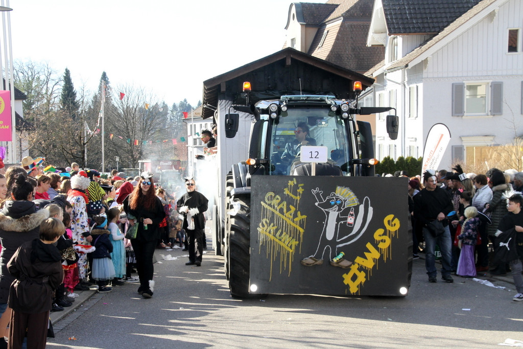 Fasching _106_.JPG