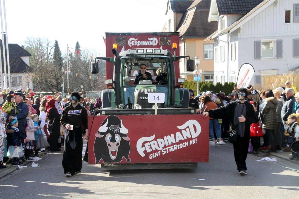 Fasching _114_.JPG