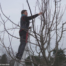 Winterschnittkurs OGV Hard