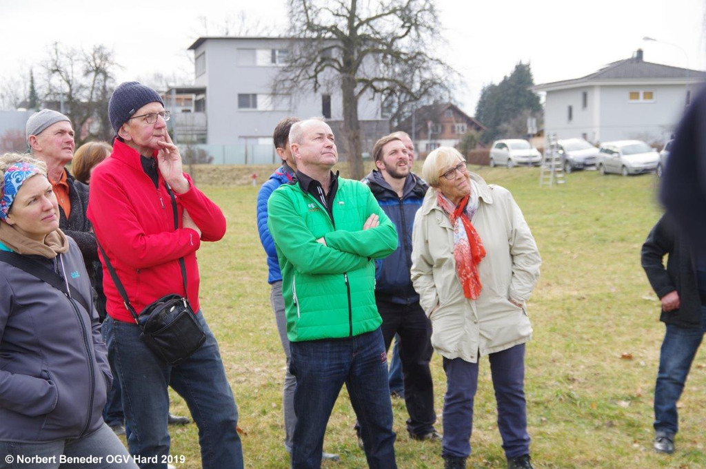 Winterschnittkurs_2019_26.jpg