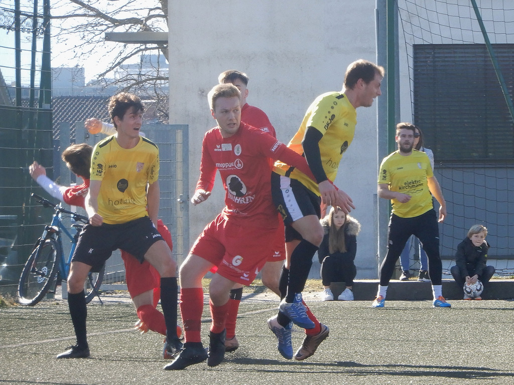 Februar 23 056.JPG