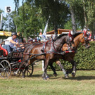 Stefan Bösch holt vier Edelmetalle