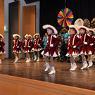 Faschingsumzug 2020 033.jpg