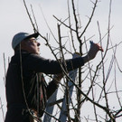 DSC00090.JPG