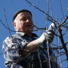 DSC00094.JPG