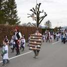 55 Faschingsumzug.jpg