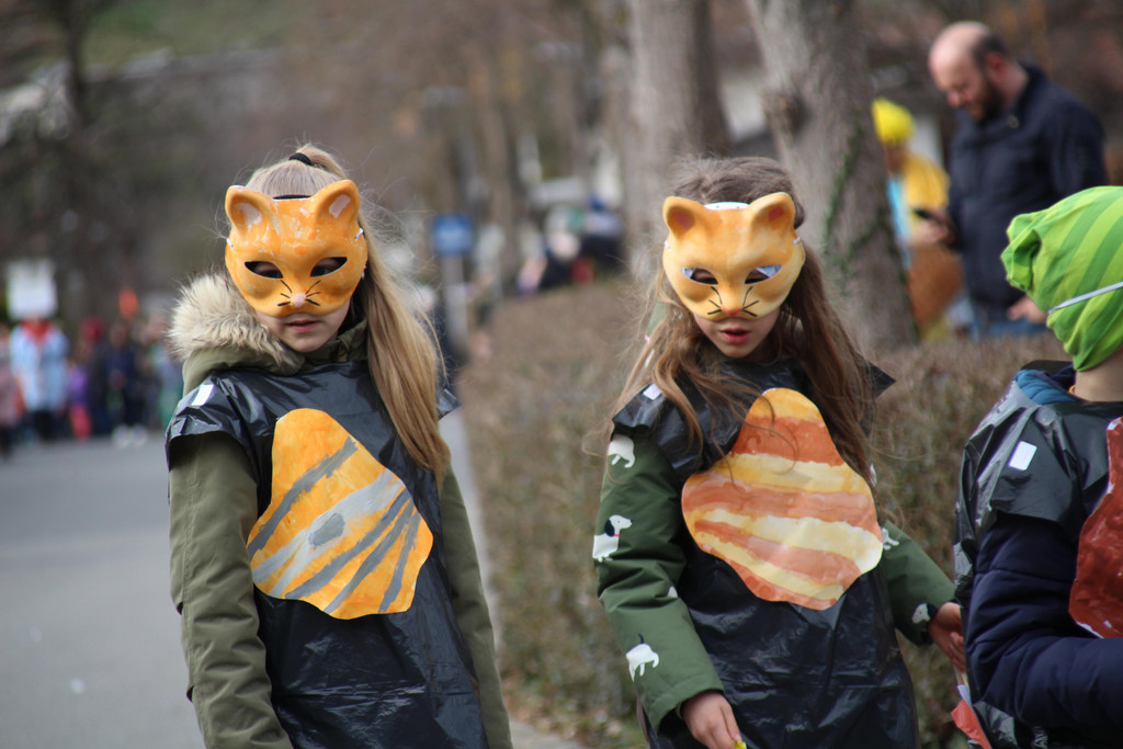 IMG_8944 1b Volksschule Tosters ging als Katzen.JPG