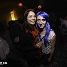 IMG_9987_jpg-1582660181.jpg