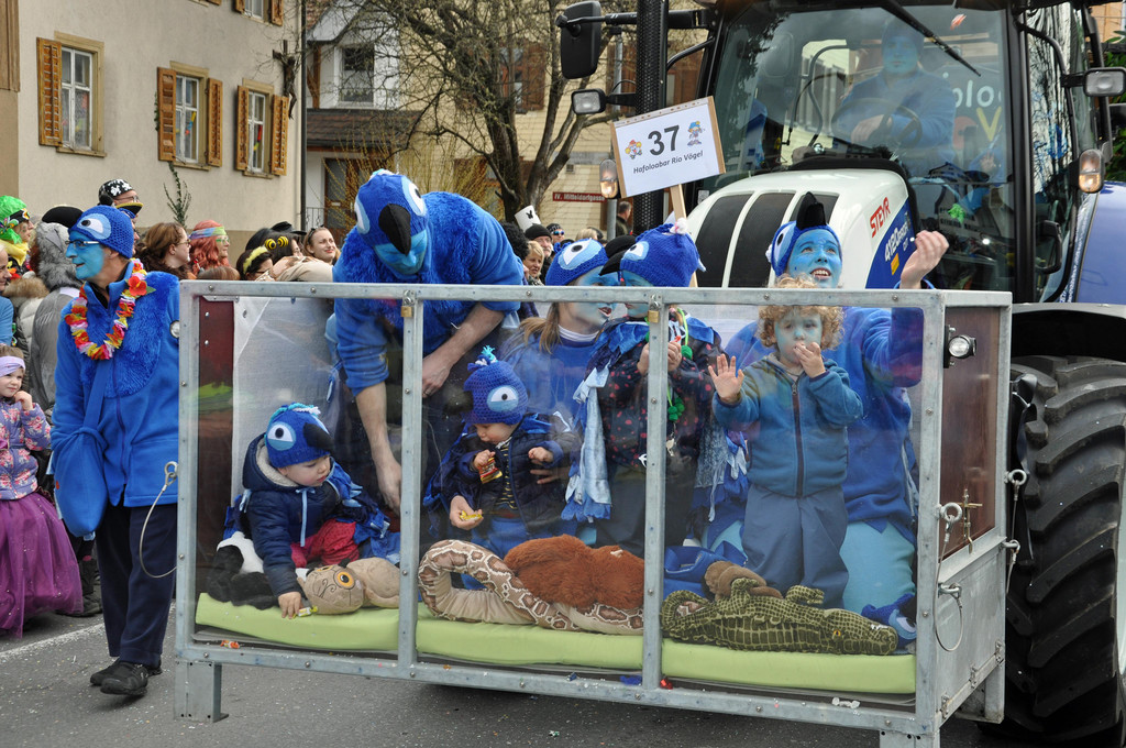 DSC_0266.JPG