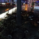 Feuerwehreinsatz in Wiener Neustadt